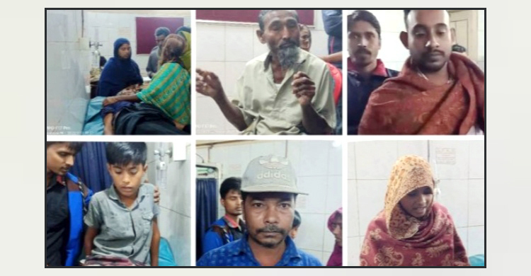 মেহেরপুরে শেয়ালের কামড়ে নারী-শিশুসহ আহত ৬