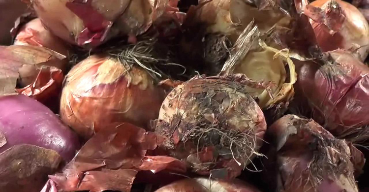 bite-nasim-vomra-secratary1