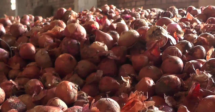 bite-nasim-vomra-secratary1