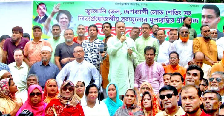 আওয়ামী লীগ দেশটাকে দেউলিয়া করে দিয়েছে: মীর নাছির