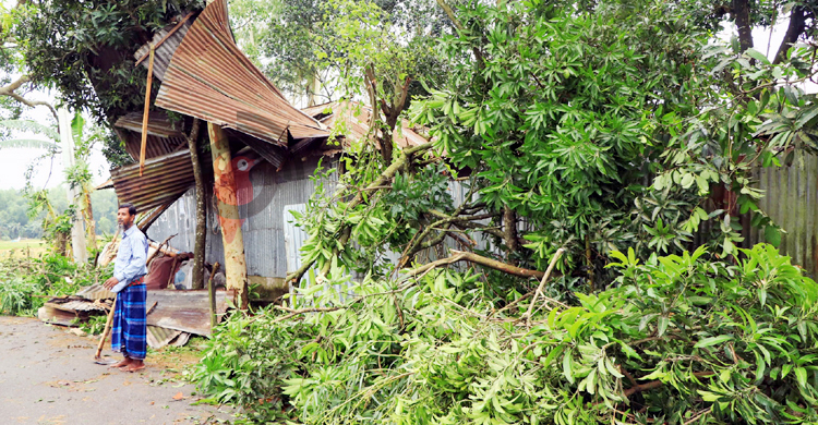 ৩ মিনিটের ঝড়ে বাড়িঘর-গাছপালা লন্ডভন্ড, ফসলের ব্যাপক ক্ষতি