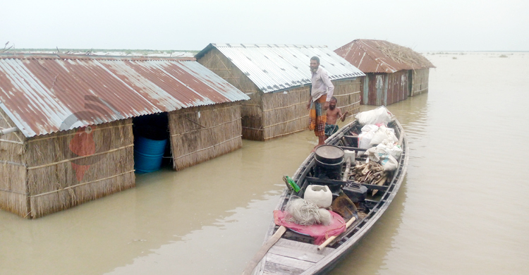 বগুড়ায় বাড়ছে বন্যার পানি, নদীতে বিলীন ২৯৬ বসতভিটা