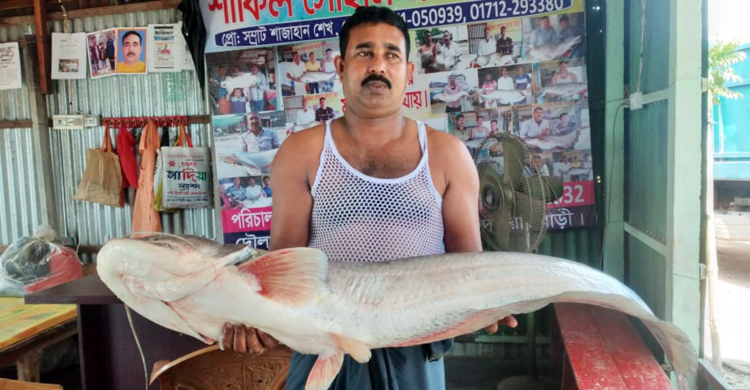 ২২ কেজির বোয়াল ৫৬ হাজারে বিক্রি