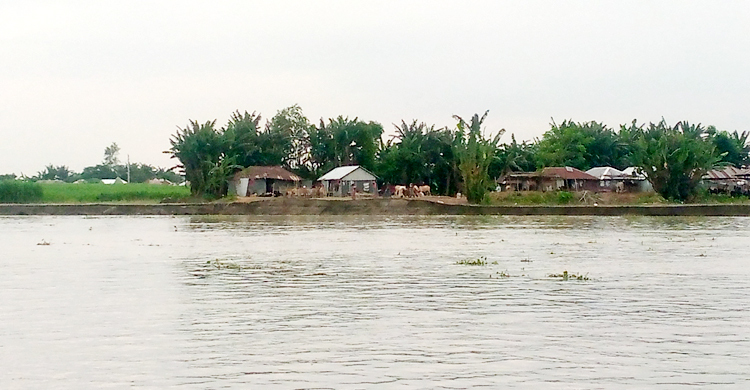 বগুড়ায় ফের বাড়ছে যমুনার পানি