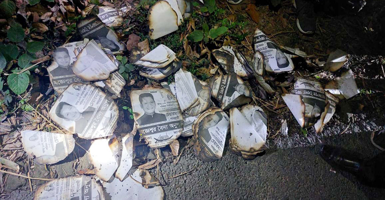 কোটালীপাড়ায় নৌকার পোস্টারে আগুন