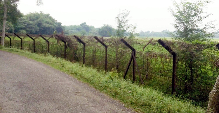 সাতক্ষীরা সীমান্তে বিএসএফের গুলিতে বাংলাদেশি যুবক নিহত