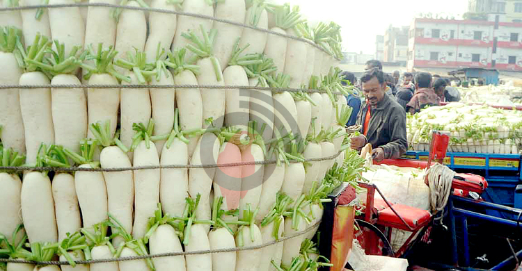 সবজির দাম: হাটের চিত্র এক বাজারের আরেক
