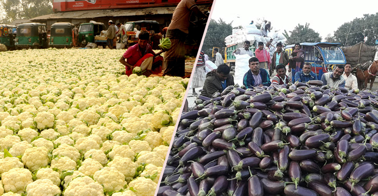 ১২ টাকার বেগুন ৫০, ১৫ টাকার ফুলকপি ৬০