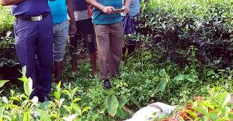 সাত বছরের শিশুকে ধর্ষণের পর জবাই করে হত্যার রোমহর্ষক বর্ণনা