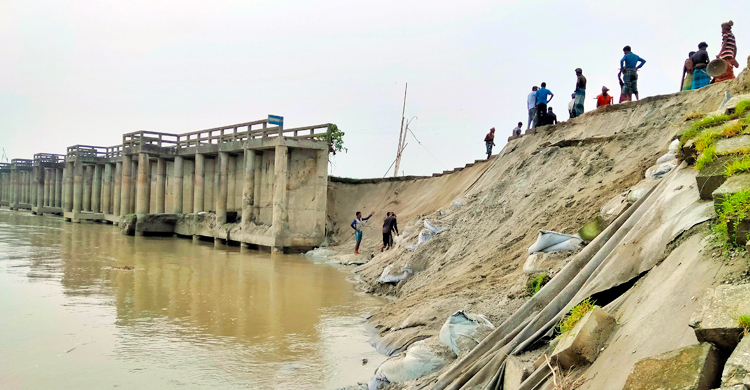 ধুনটে যমুনার বাঁধ রক্ষায় নির্মিত স্পারেই ভাঙন