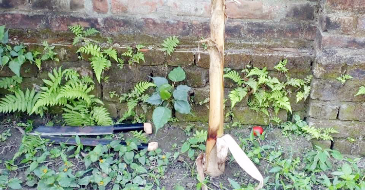 বগুড়ায় ভোটকেন্দ্রের পাশ থেকে চাপাতি-ককটেল উদ্ধার