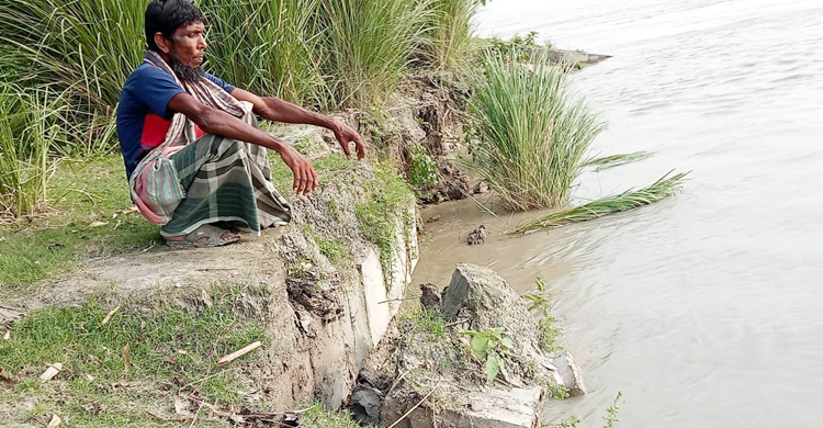 ধুনটে যমুনা নদীর তীর রক্ষা বাঁধে ভাঙন