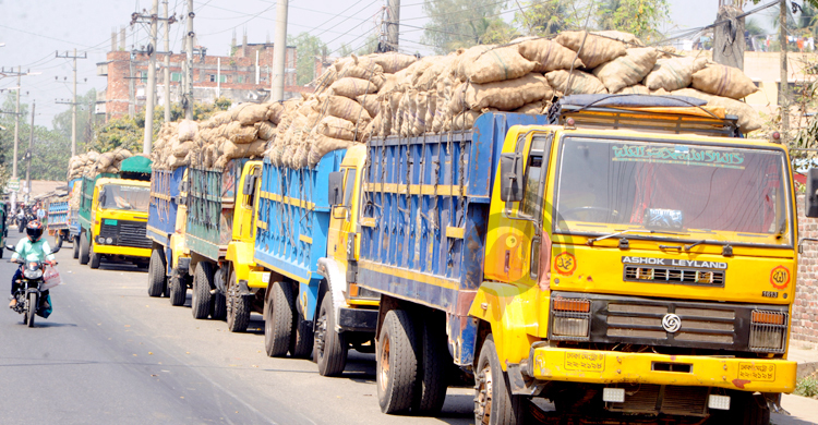 বিদ্যুতের দাম বাড়ার আগেই বাড়ানো হলো আলু রাখার খরচ