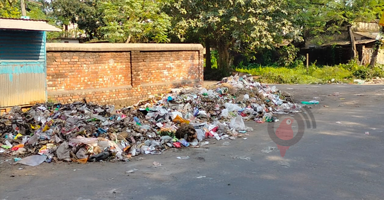 দুর্ভোগে অতিষ্ট বগুড়া পৌরসভার মানুষ 