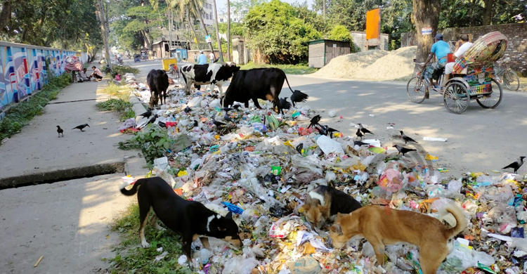 দুর্ভোগে অতিষ্ঠ বগুড়া পৌরসভার মানুষ