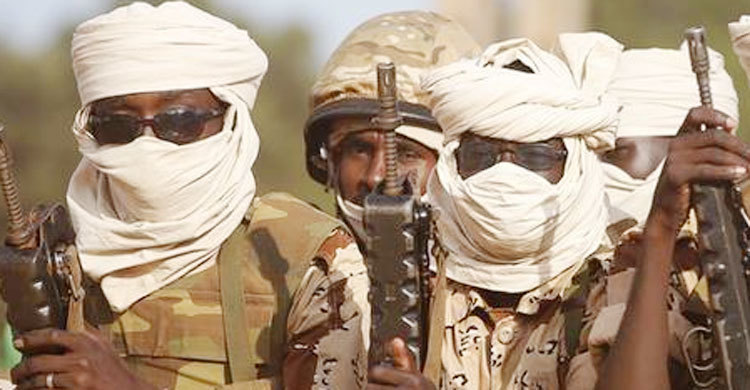 Boko Haram kills 69, razes village in northern Nigeria