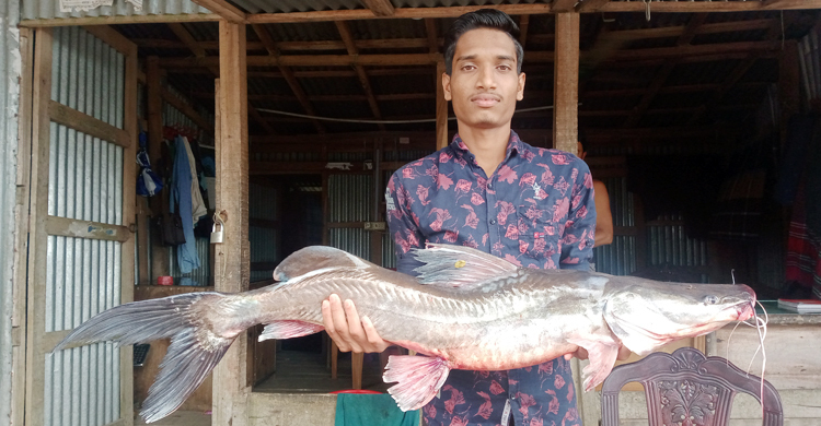 মেঘনায় ধরা পড়ল ৯ কেজির আইড়