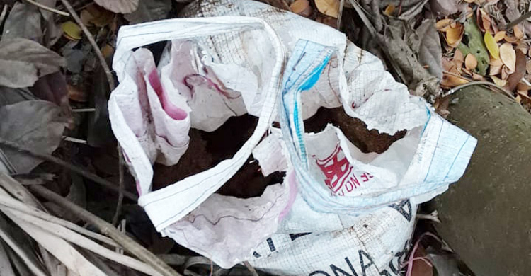 যশোরে কুড়িয়ে পাওয়া বোমা বিস্ফোরণ, দুই শিশু আহত