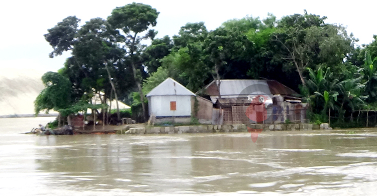 দৌলতদিয়ায় বিপৎসীমার ওপরে পদ্মা, পানিবন্দি হাজারো মানুষ