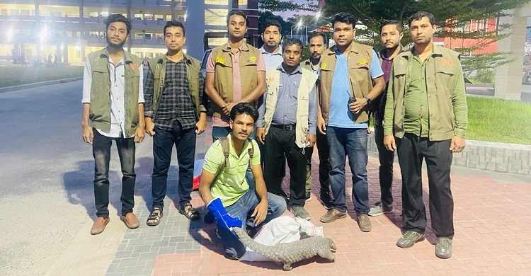 চট্টগ্রামে মহাবিপন্ন দুটি বনরুই উদ্ধার, গ্রেফতার ৪