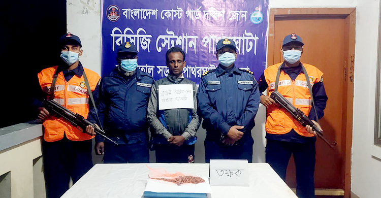 দুই কোটি টাকার তক্ষকসহ পাচারকারী আটক