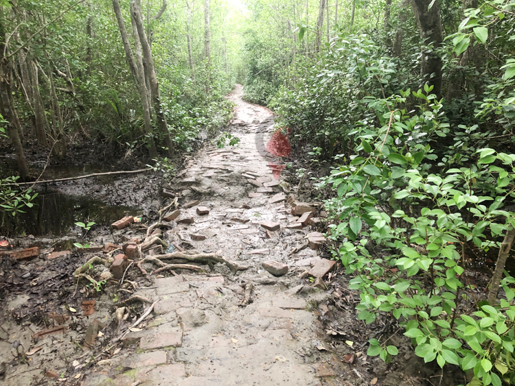 সোনাকাটা ইকো ট্যুরিজম এখন ভূতুড়ে এলাকা