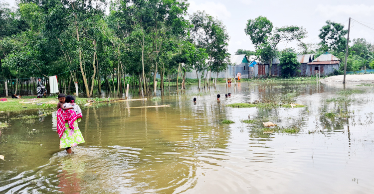 বৃষ্টিতে আখাউড়ায় জলাবদ্ধতা, দুর্ভোগে অর্ধশতাধিক পরিবার