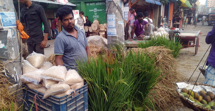 ব্রাহ্মণবাড়িয়ায় জমে উঠেছে ভাসমান গো-খাদ্যের বাজার