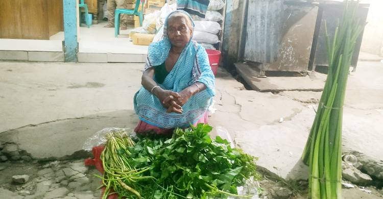 লতাপাতা বিক্রির টাকায় চলে বৃদ্ধা সুফিয়ার জীবন