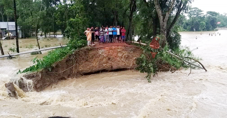 পাহাড়ি ঢলে বাঁধ ভেঙে আখাউড়ার নিম্নাঞ্চল প্লাবিত