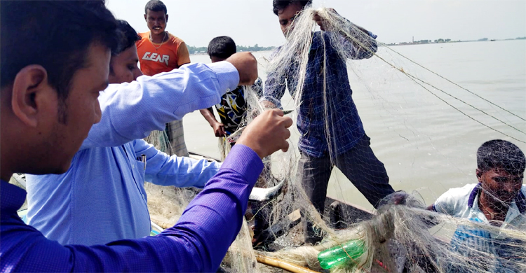 ব্রাহ্মণবাড়িয়ায় ইলিশ ধরার অপরাধে ৫ জেলেকে জরিমানা