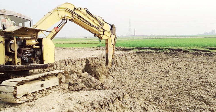 নবীনগরে সিন্ডিকেট গিলে খাচ্ছে কৃষিজমির মাটি