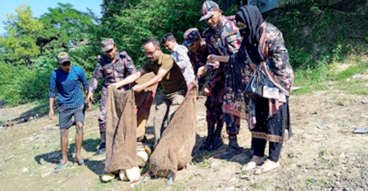 আখাউড়া সীমান্তে উদ্ধার ৫২ কচ্ছপ তিতাসে অবমুক্ত