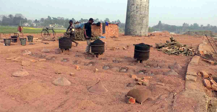 ইটের আকৃতি ছোট, ভাটা মালিককে ১০ হাজার টাকা জরিমানা