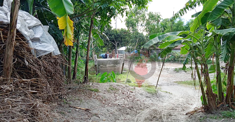 ব্রিজ আছে রাস্তা নেই, ৬ বছরেও চোখে পড়েনি এলজিইডির