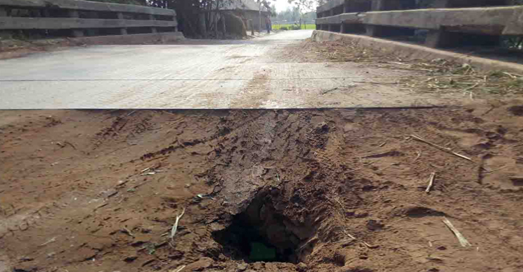 যেকোনো সময় ভেঙে পড়তে পারে সেতুটি