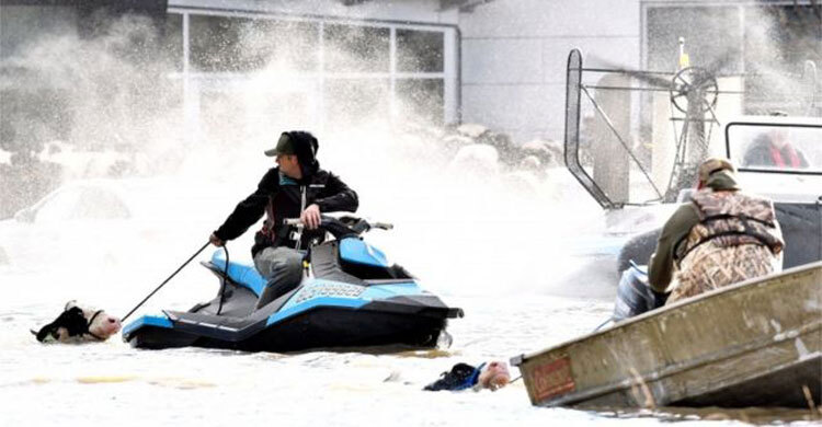 Vancouver storm: British Columbia declares state of emergency