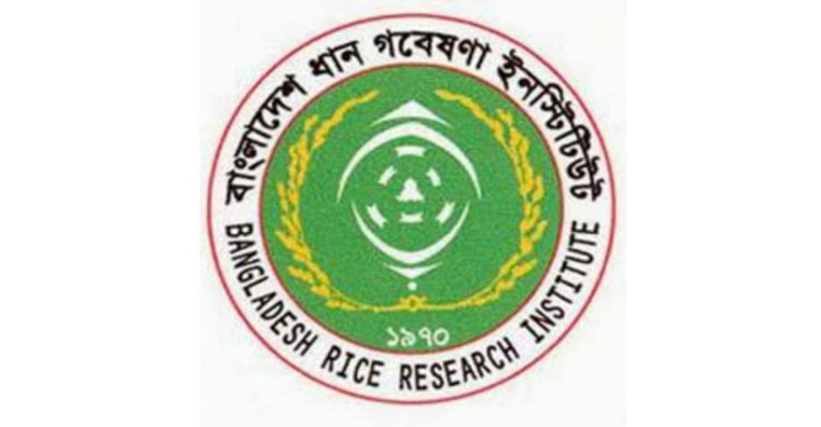 ১০৫ উচ্চফলনশীল জাত ও ২৫০ প্রযুক্তি উদ্ভাবন ব্রির