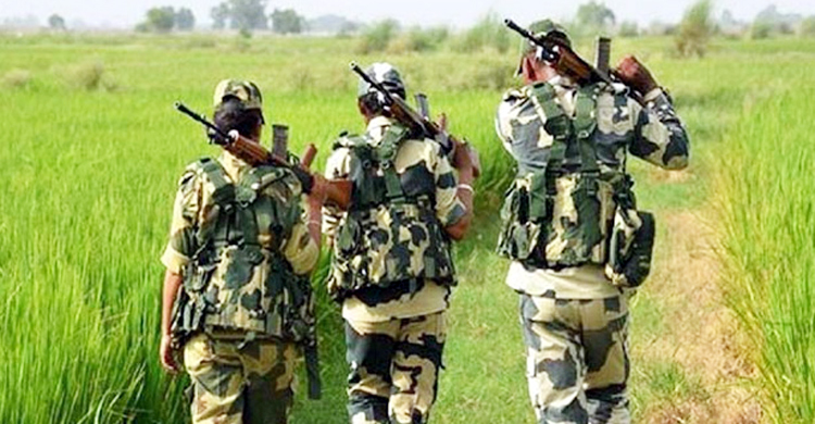 বাংলাদেশি যুবককে ধরে নিয়ে গেছে বিএসএফ