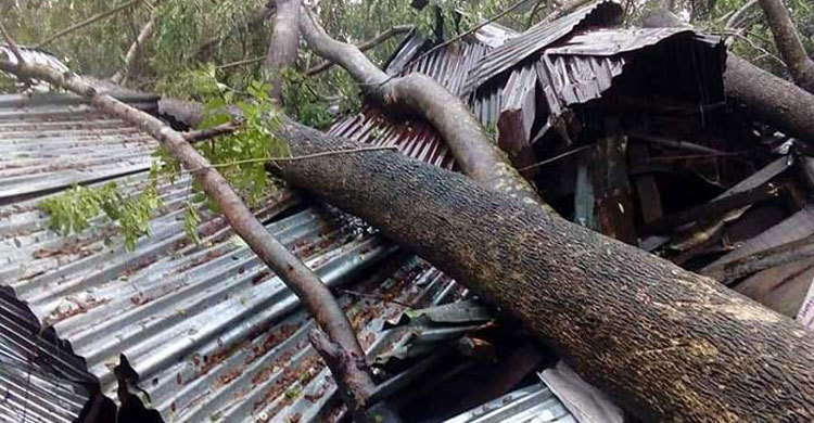 ঘূর্ণিঝড় বুলবুলে প্রকৃত মৃতের সংখ্যা আসলে কত?