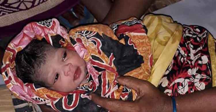 আশ্রয়কেন্দ্রে আরেক ‘বুলবুলি’র জন্ম