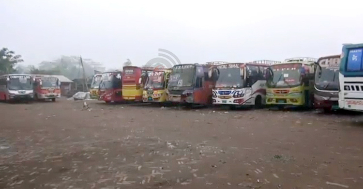 চালককে মারধর, পিরোজপুরের ৫ রুটে বাস চলাচল বন্ধ