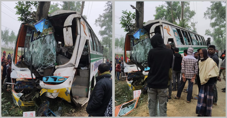 নিয়ন্ত্রণ হারিয়ে গাছে বাসের ধাক্কা, আহত ৭