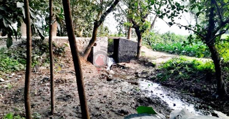 ২০ ফুট খালের ওপর ৪ ফুট কালভার্ট