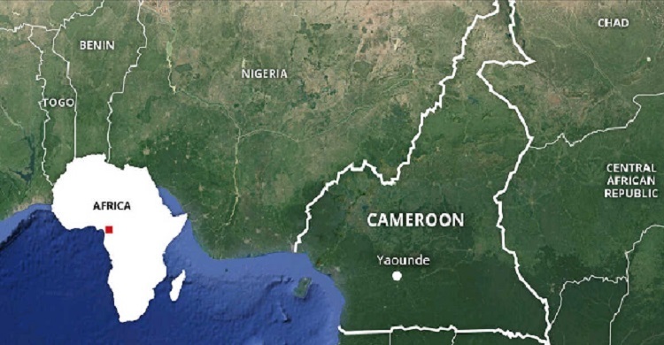 Cameroon bus accident kills at least 37