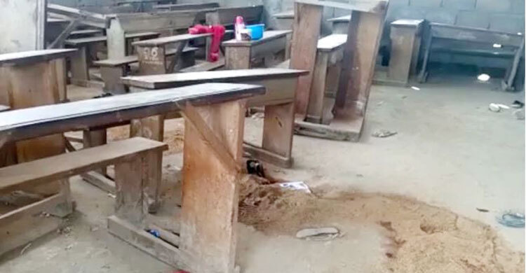 Gunmen kill 6 children in attack on school in Cameroon
