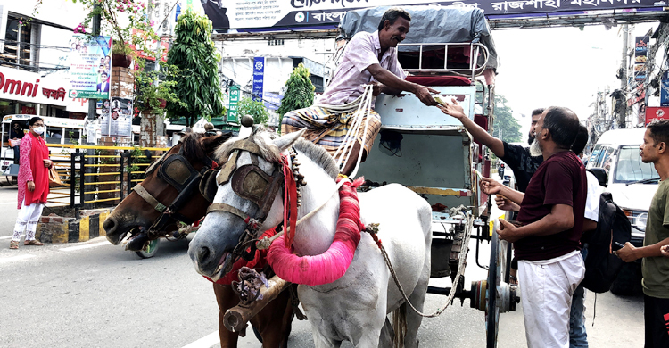 চলছে না অটোরিকশা, রাজশাহী শহরে নামলো ‘টমটম’