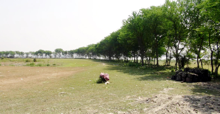 ঝালকাঠি ইকোপার্ক রক্ষায় আদালতে মামলা, ডিসি-মেয়রসহ ১৬ জন বিবাদী