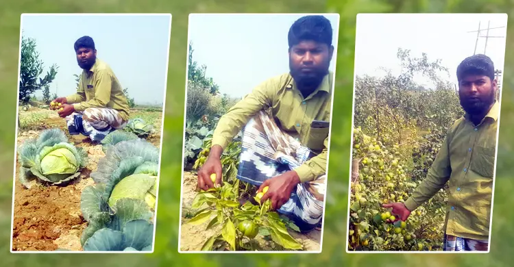কৃষিতে বদলে গেছে বিদেশফেরত মাজাহারের জীবন