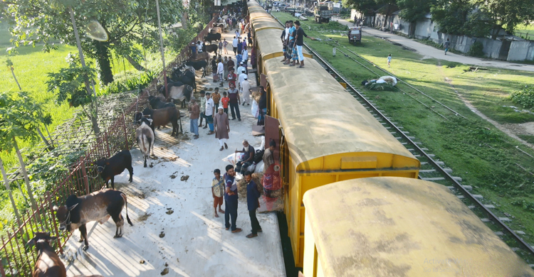 জামালপুর থেকে ৮০০ গরু নিয়ে ‘ক্যাটল স্পেশাল ট্রেন’ ঢাকায়